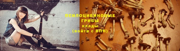 спиды Абинск